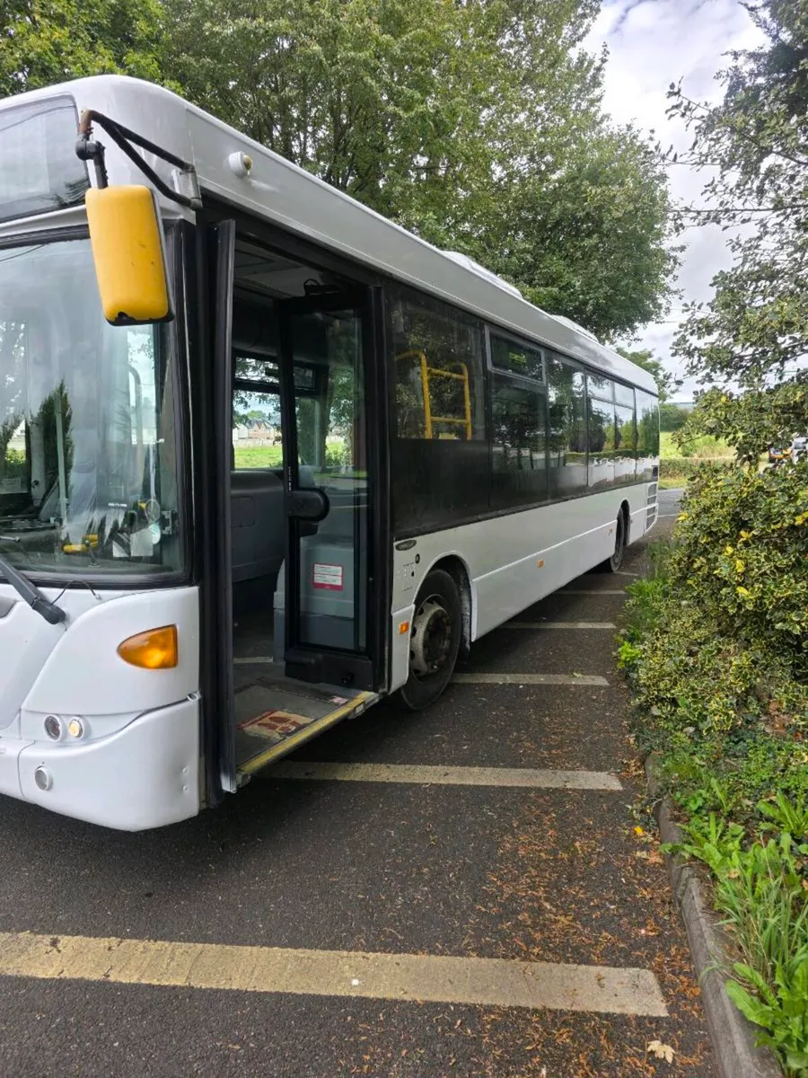 Bus - Image 4