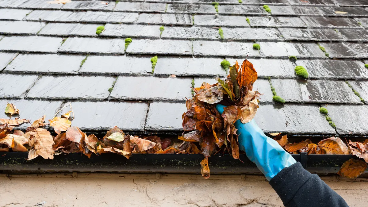 Gutter cleaning mayo - Image 1