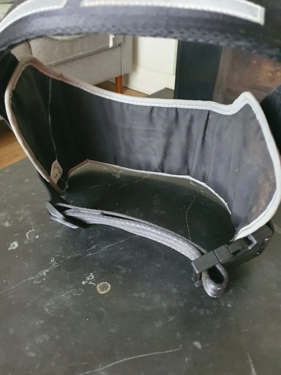 Dog's crate and harness - Image 3