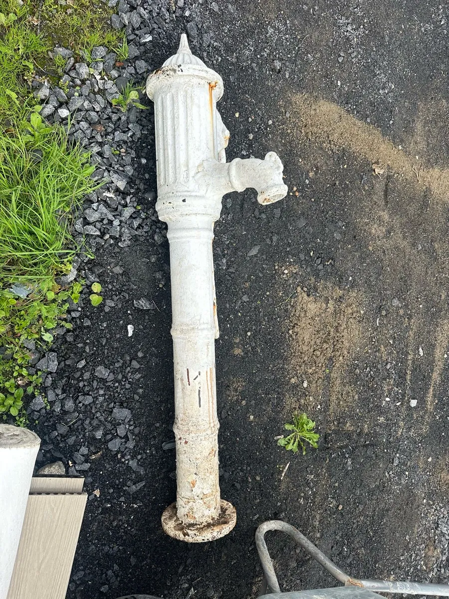 Cast iron water pump - Image 1