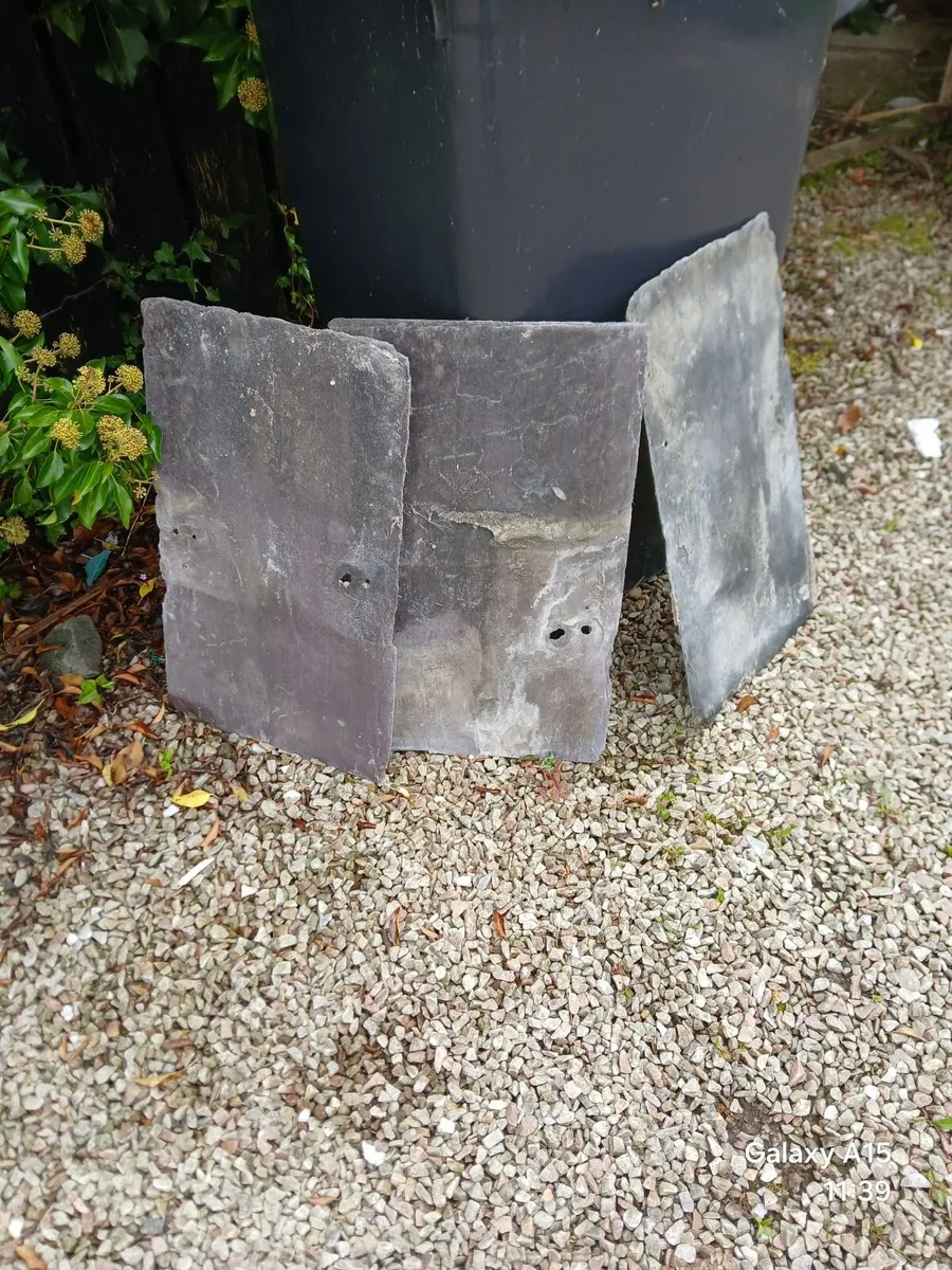 Bangor Blue Slates - Image 2