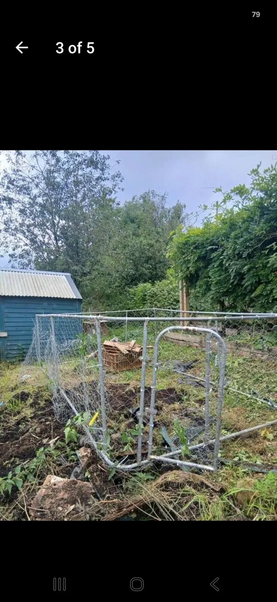 chicken run/ dog run - Image 2