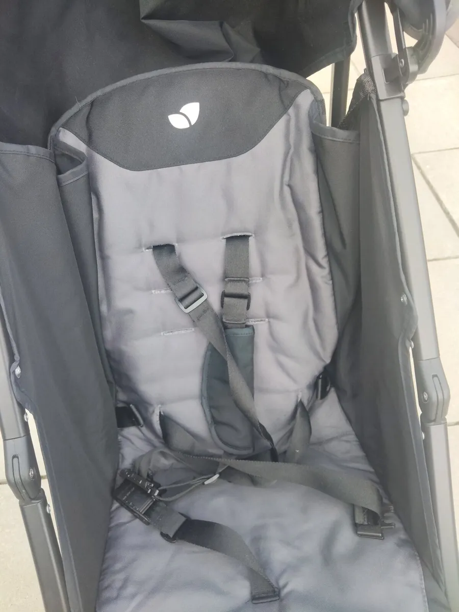 Buggy - Image 2