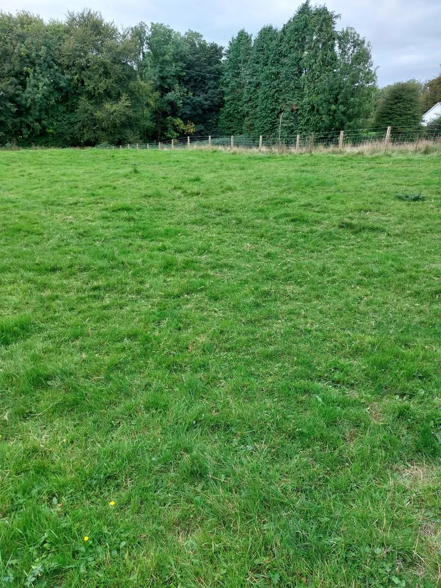Site - Image 4