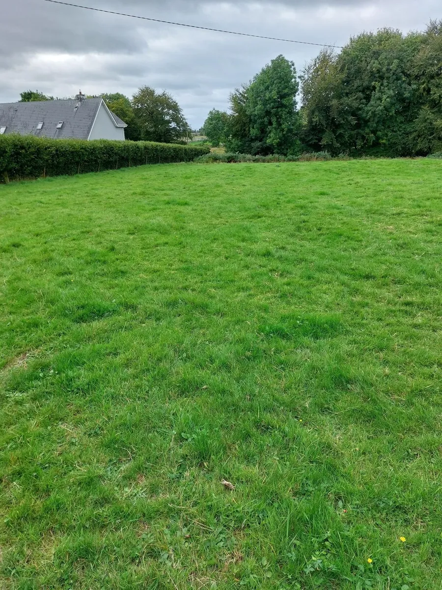 Site - Image 1