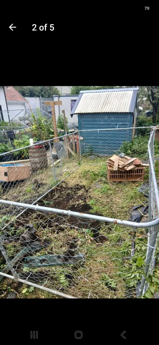 chicken run/ dog run - Image 3