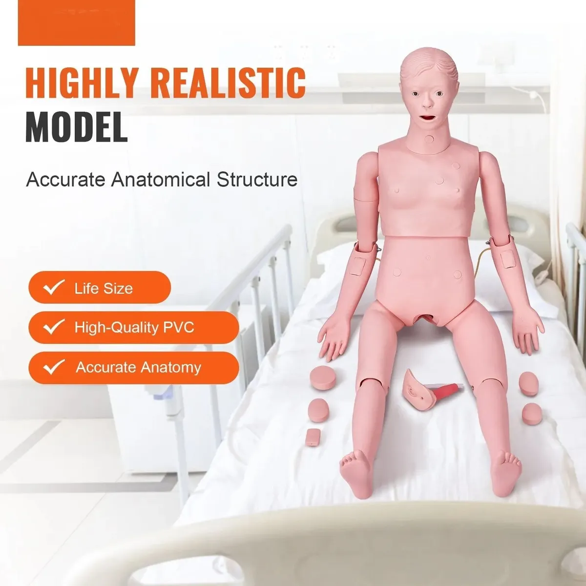 Nursing Manikin Human Body Care Training Model - Image 2