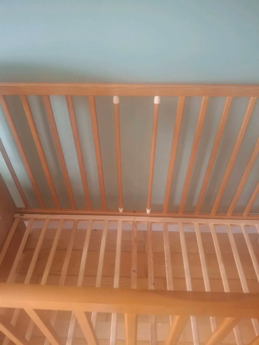 Cot - Image 2