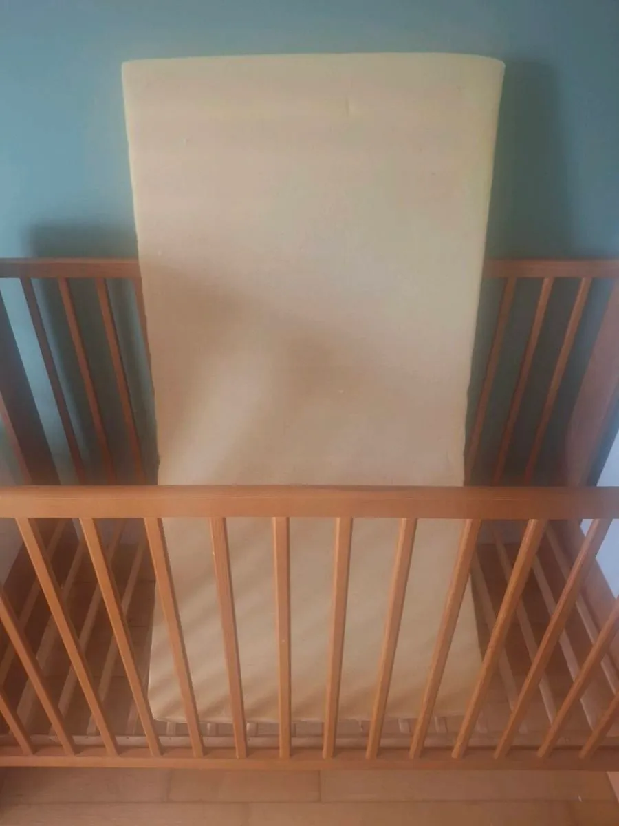 Cot - Image 4