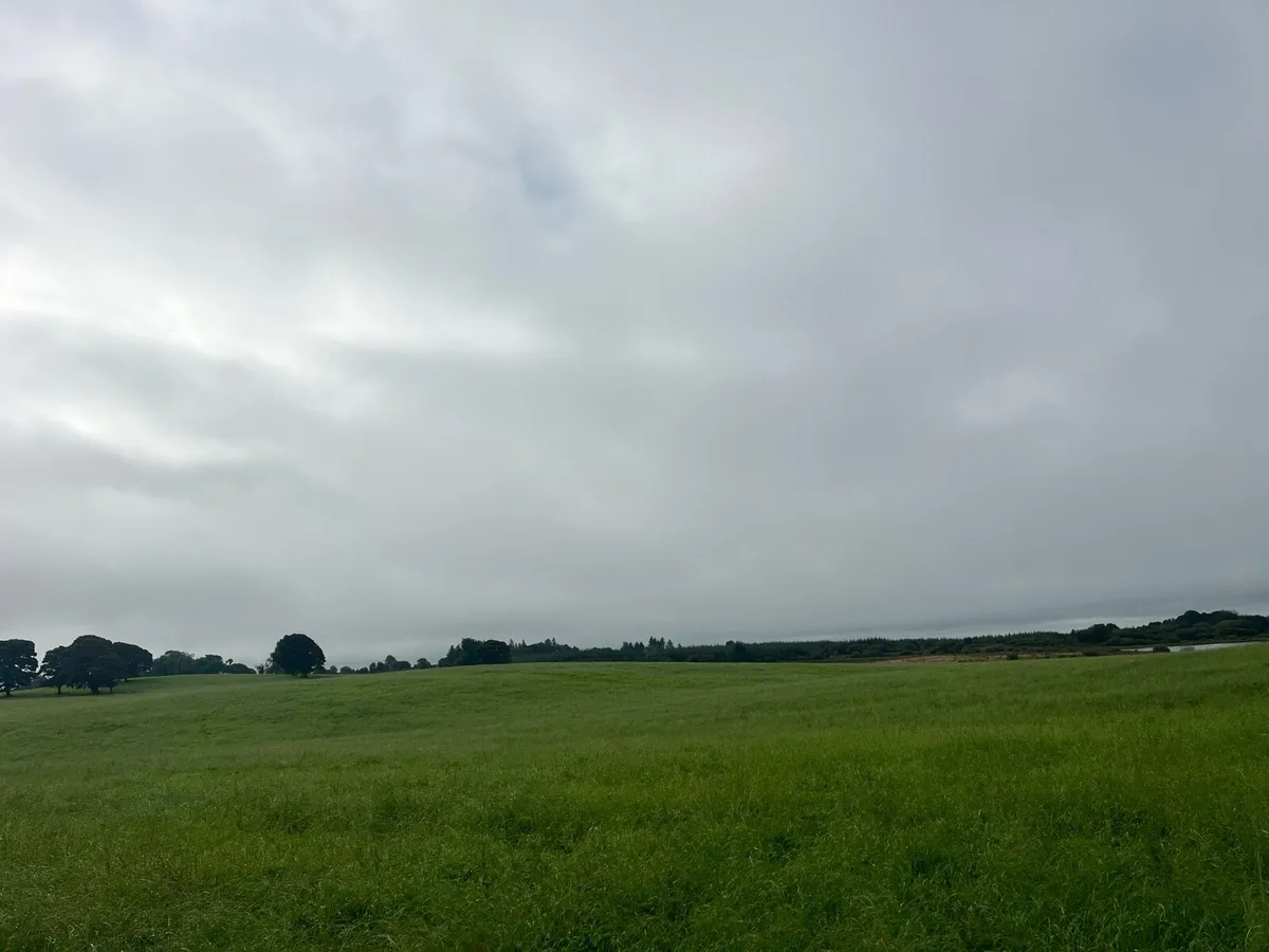 Silage - Image 1