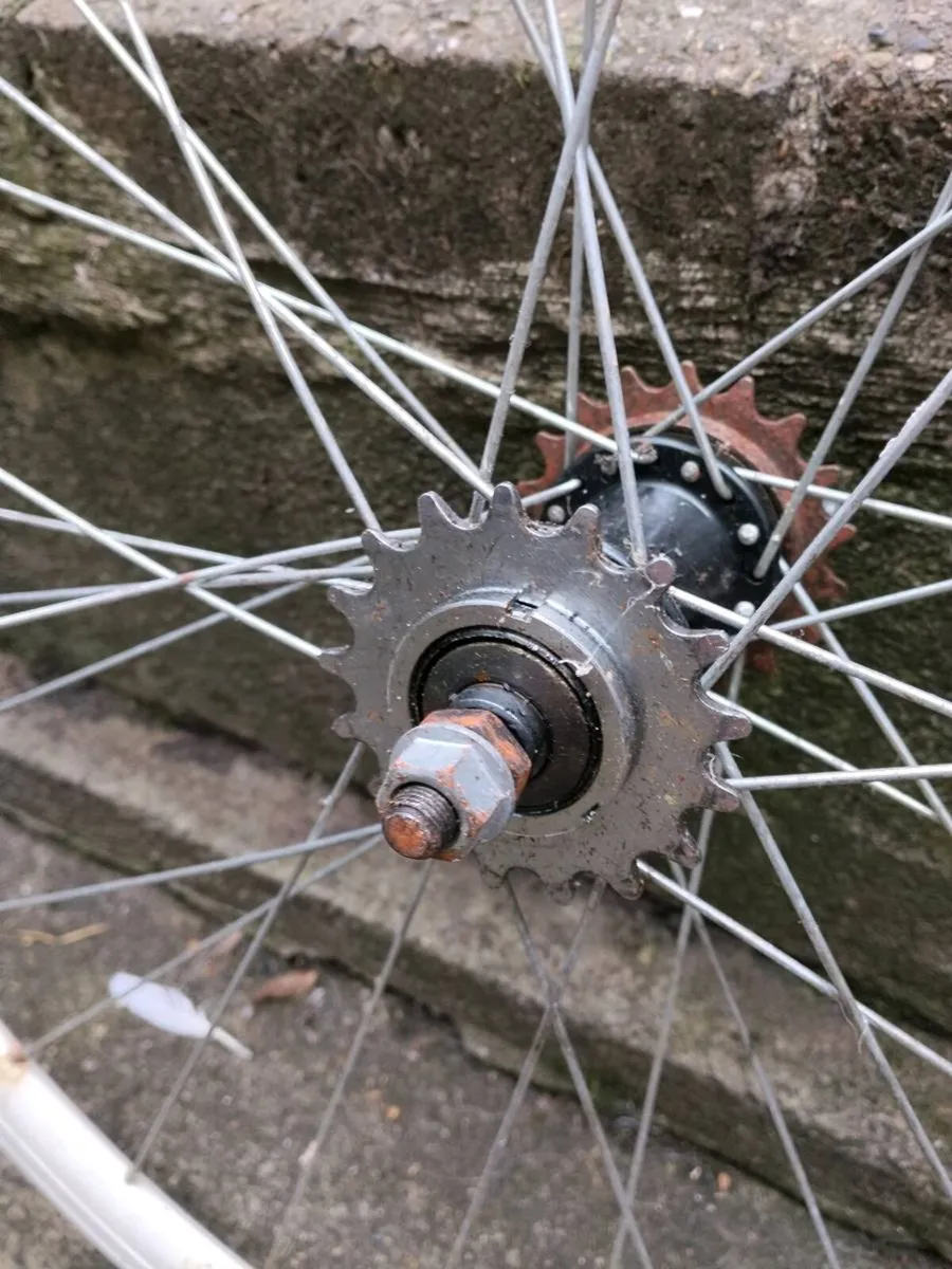 FREE Fixie Rear Wheel 700c Flip Flop Hub - Image 4