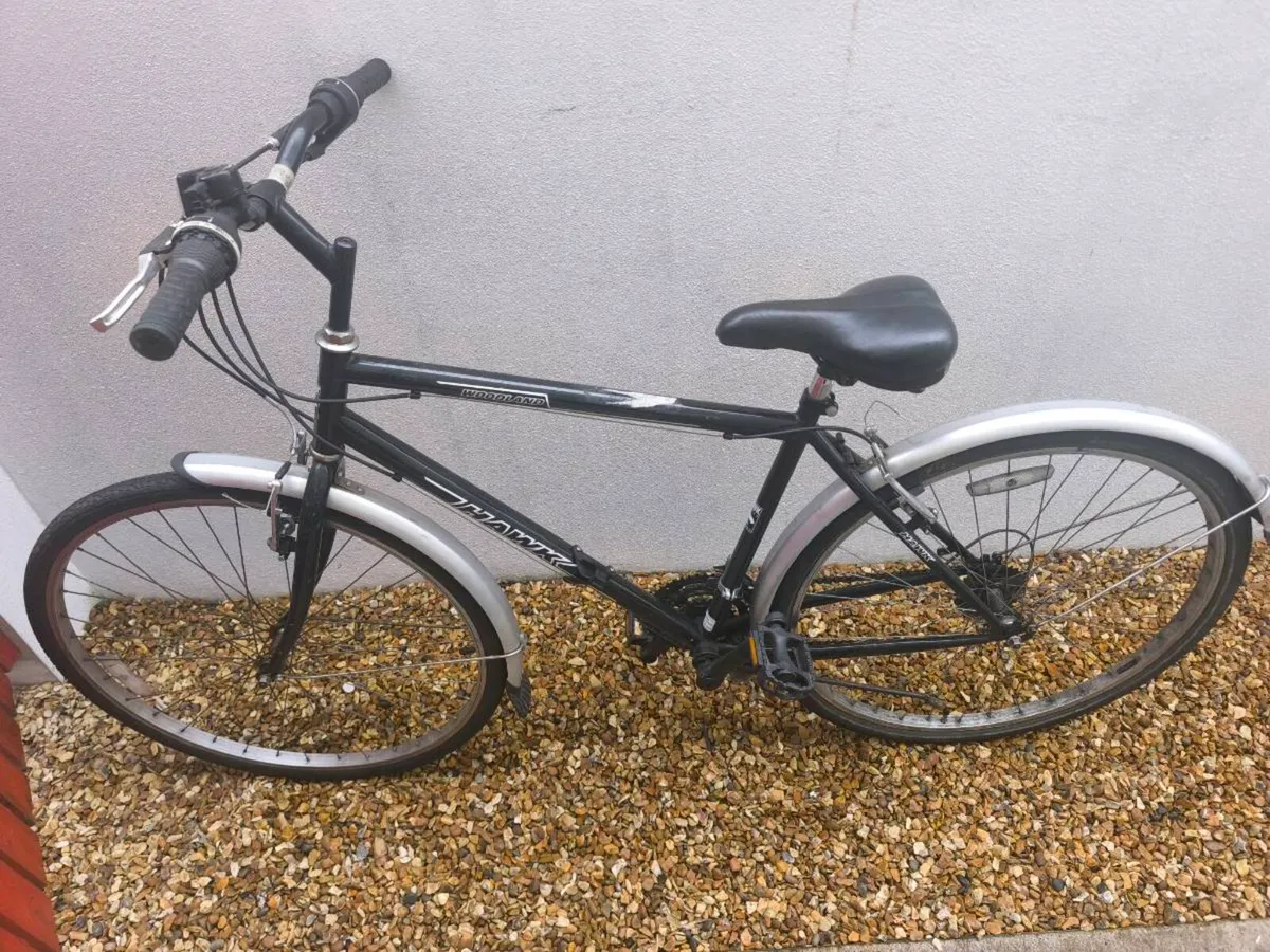 EX RENTAL HYBRID ADULT BIKES - Image 4