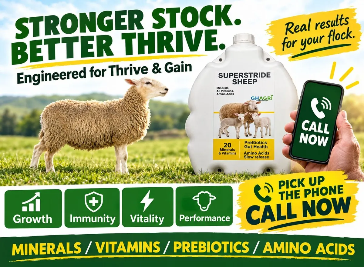 Mineral-Vitamins-Prebiotics-Amino Acids