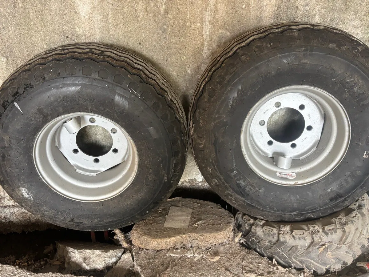 Tires and Rim - Image 1