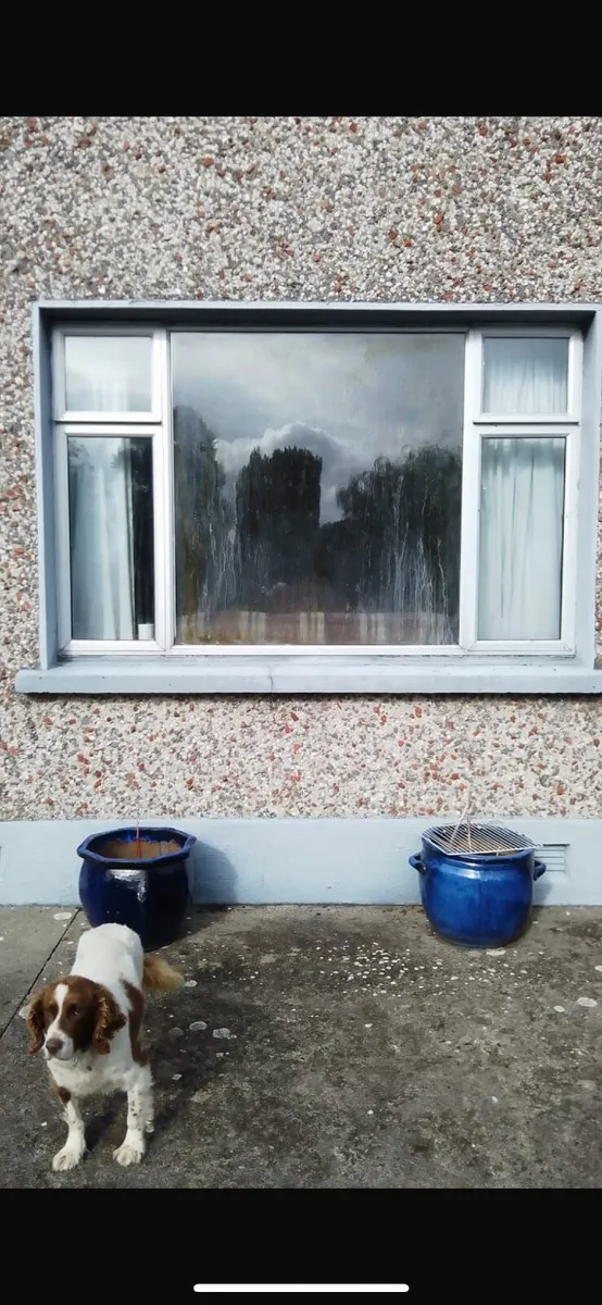 House Windows - Image 1