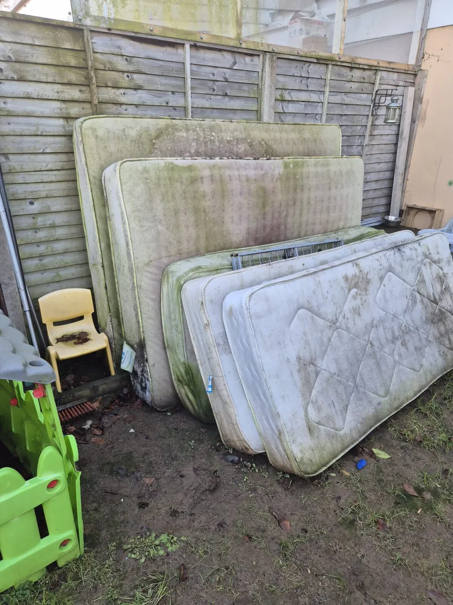 Rubbish removal - Image 2