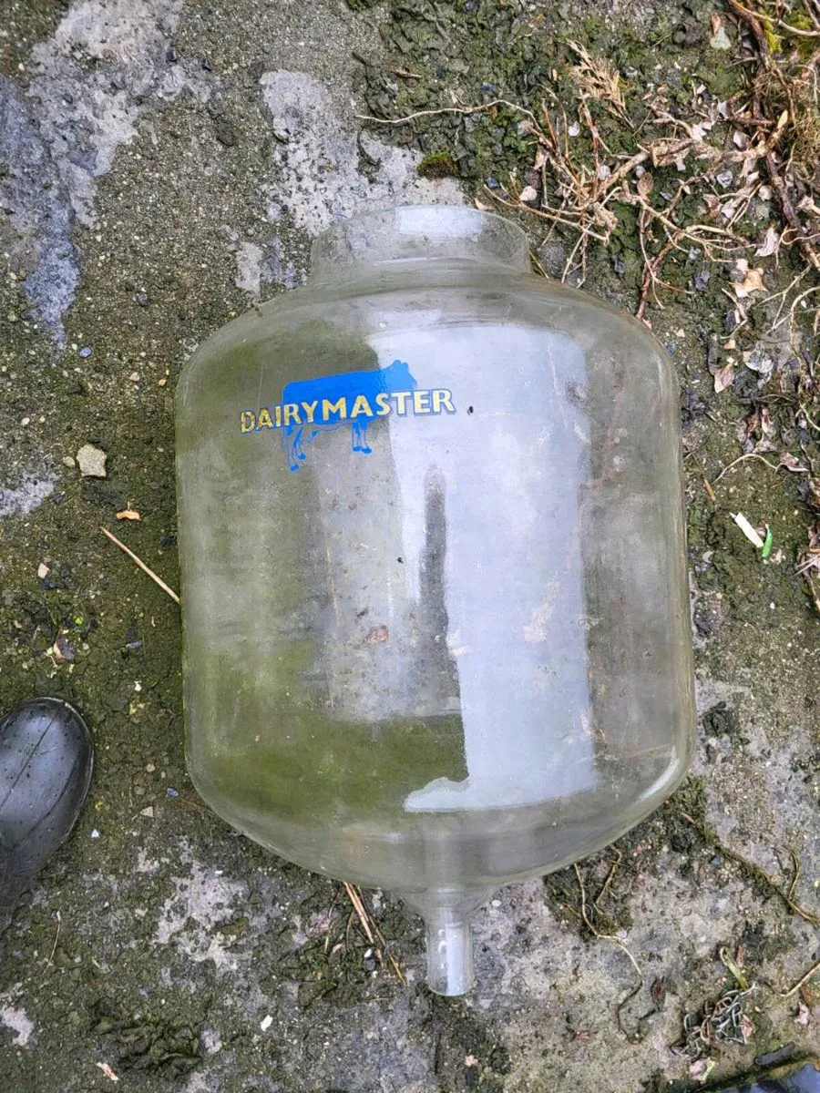 13 gallon Dairymaster recieving jar - Image 1