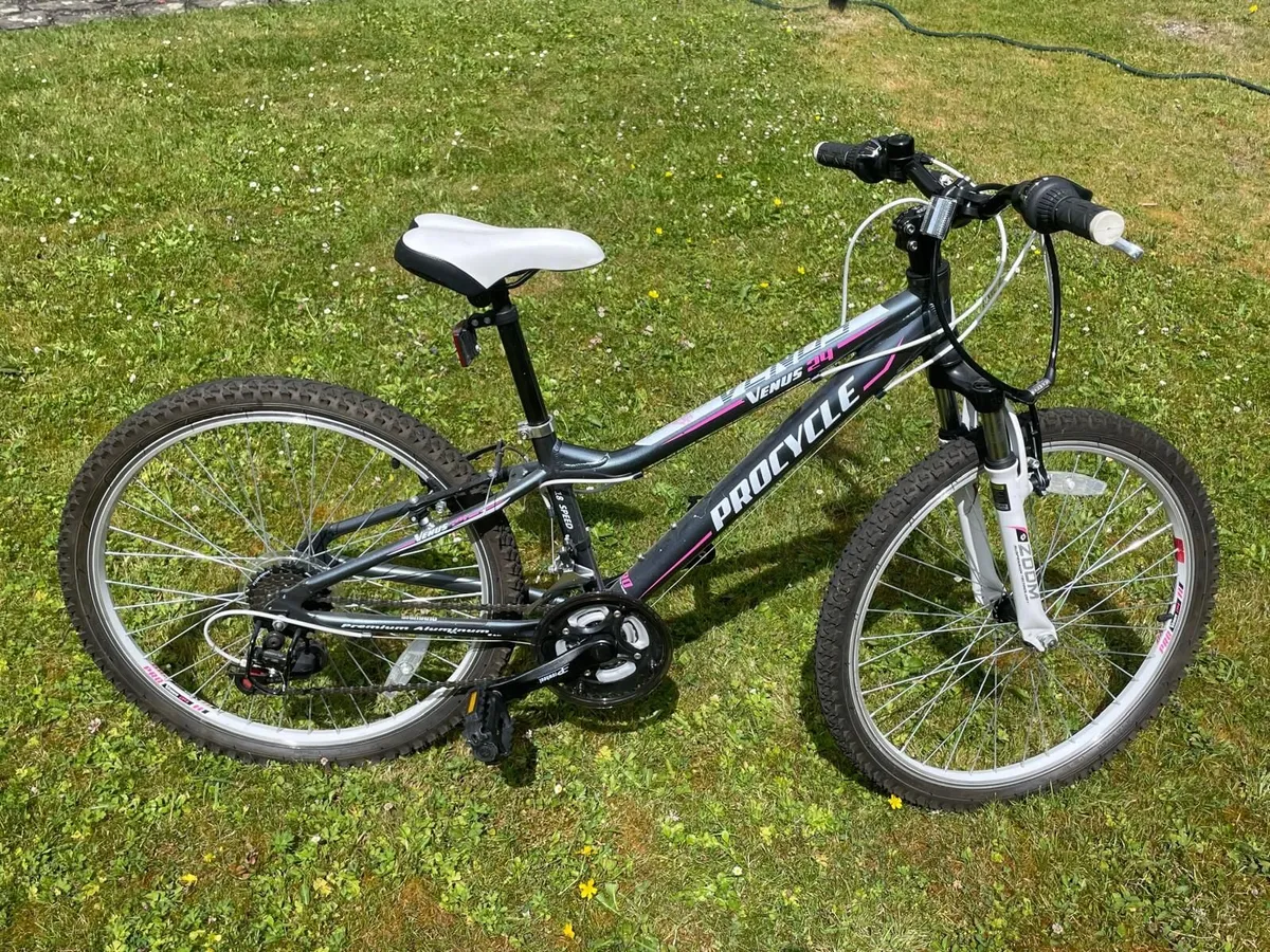 Venus procycle 24 inch mountainbike - Image 2