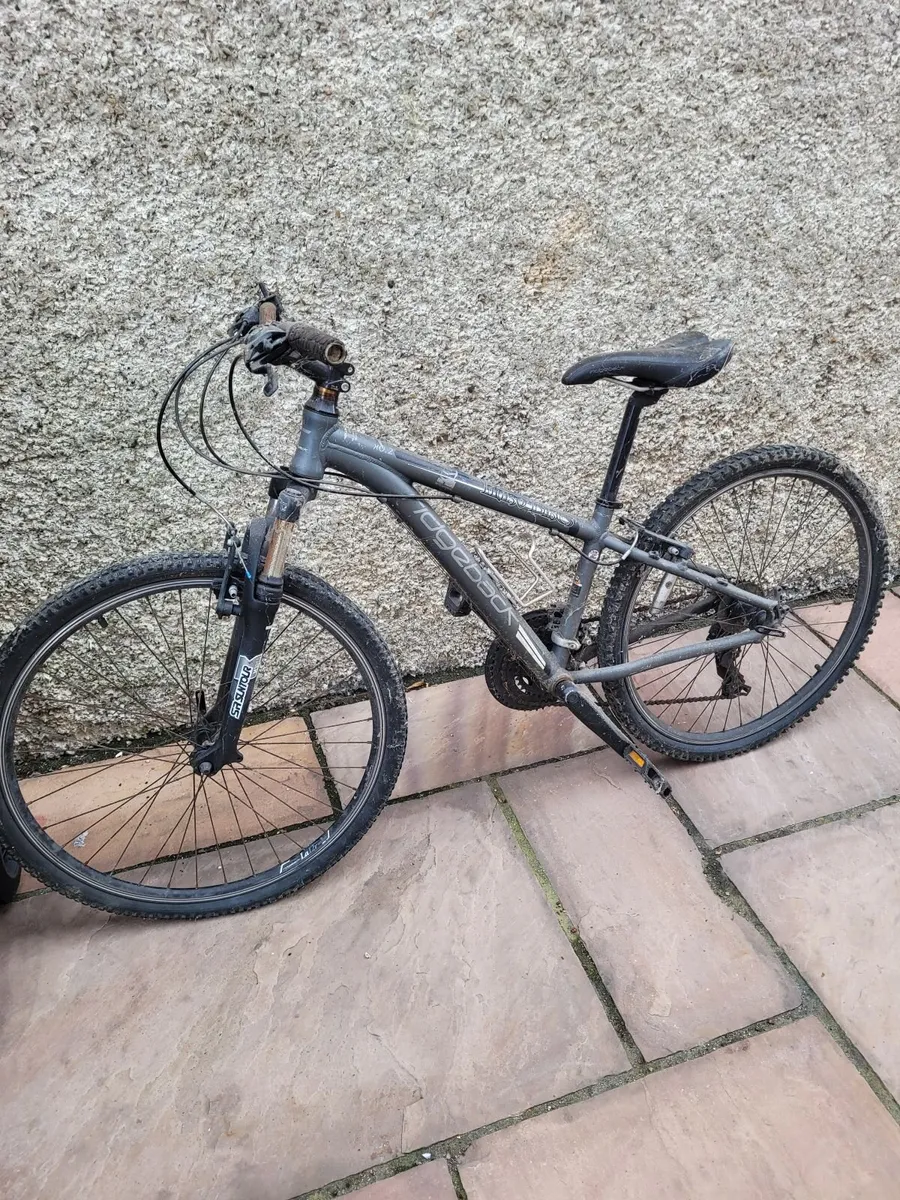 Bike for free to take away