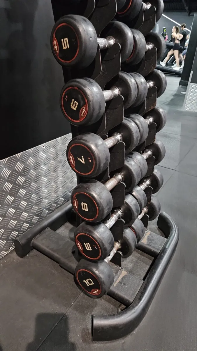 Rack with the dumbells - Image 2