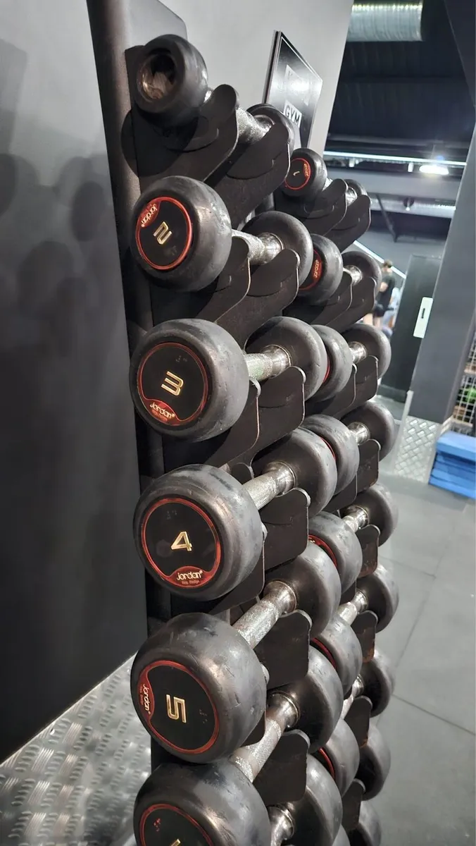 Rack with the dumbells - Image 3