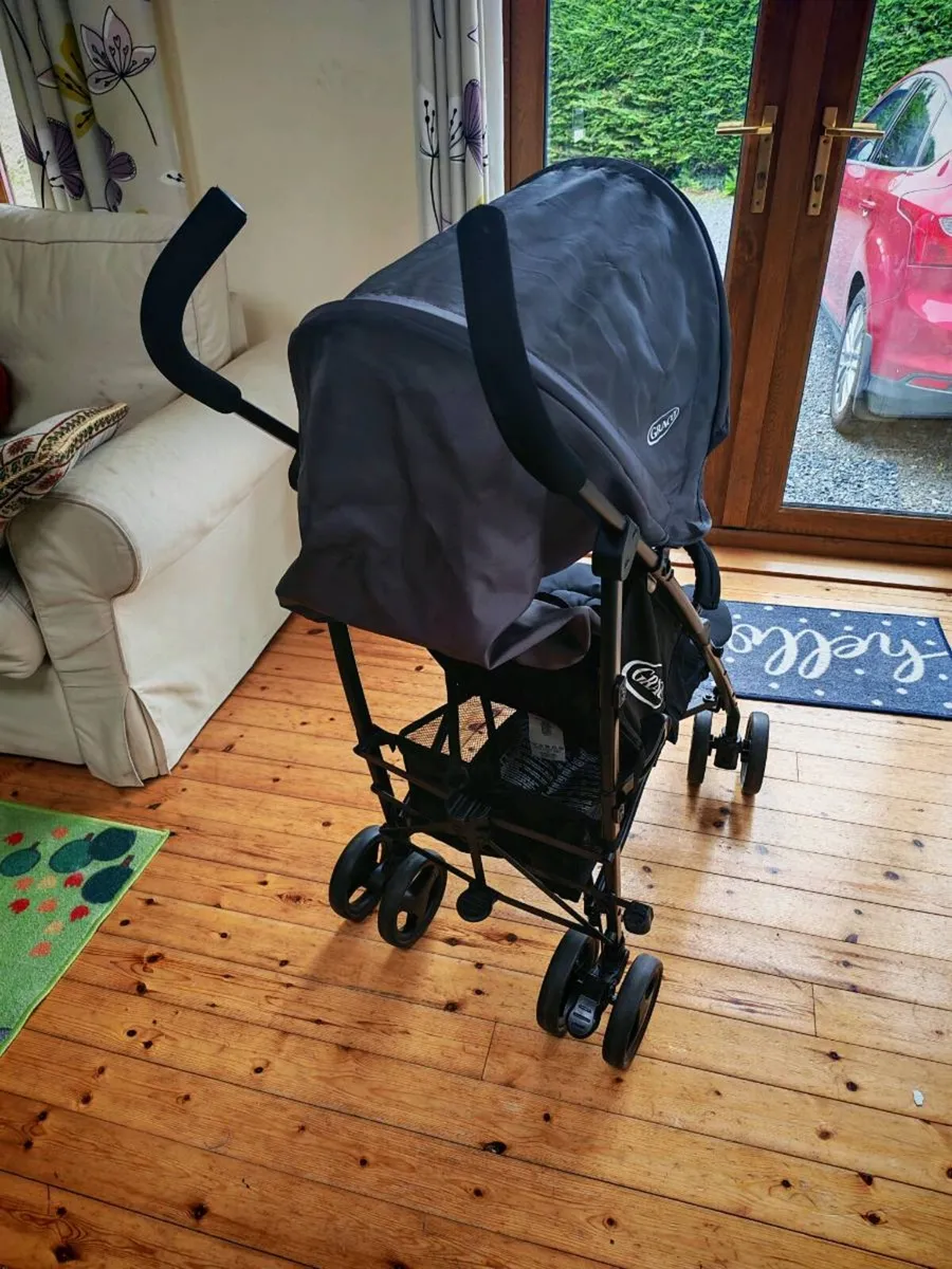 Buggy - Image 3