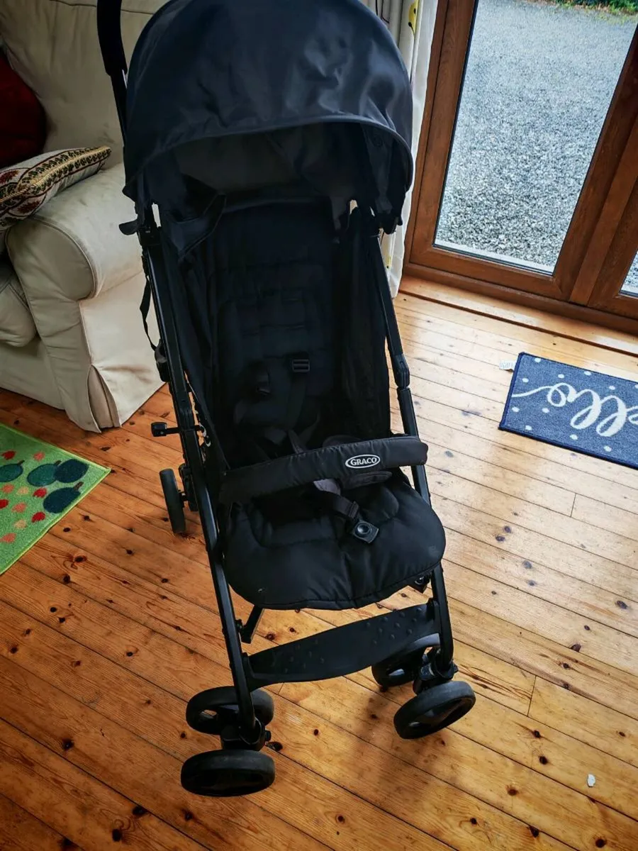 Buggy - Image 4