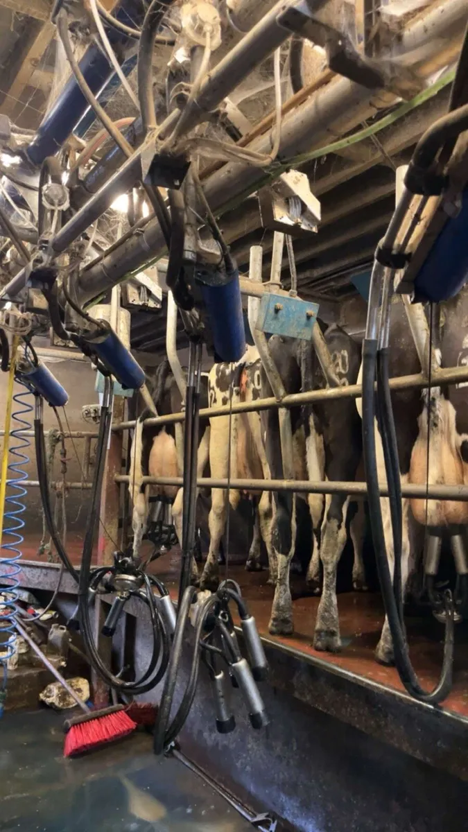 Relief milking / weekend work