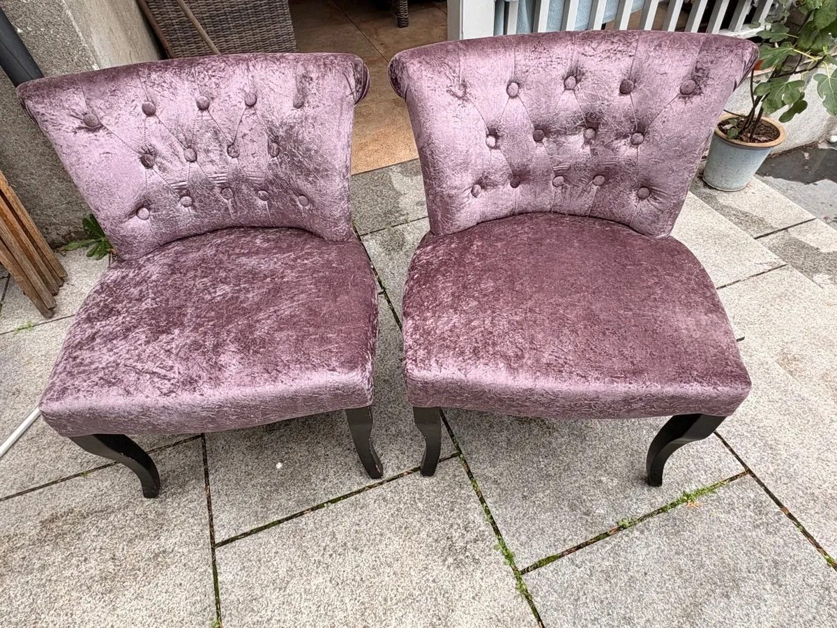 Elegant chairs