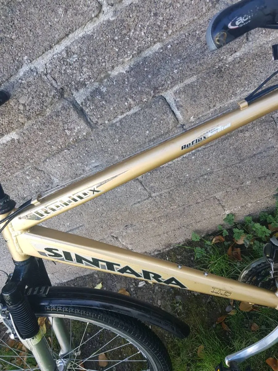 Bike - Image 2
