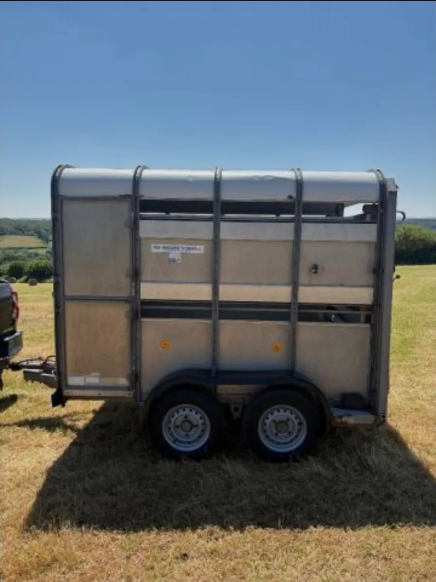Ifor Williams 8x5 Livestock Trailer - Image 3