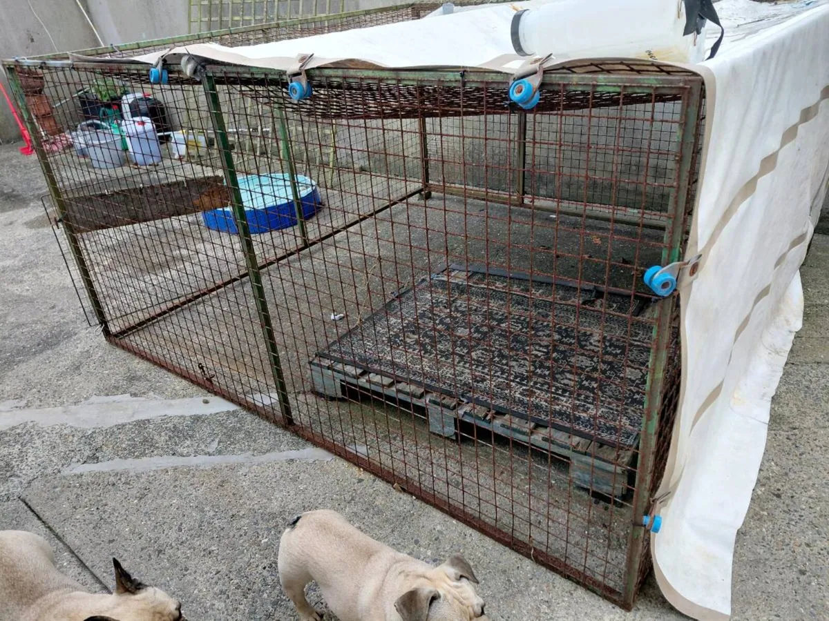 Dog run - Image 1