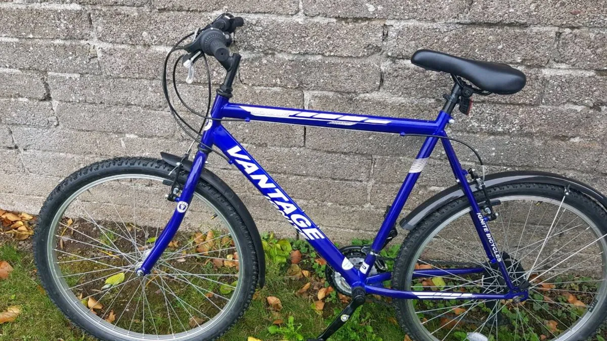 Bike - Image 1