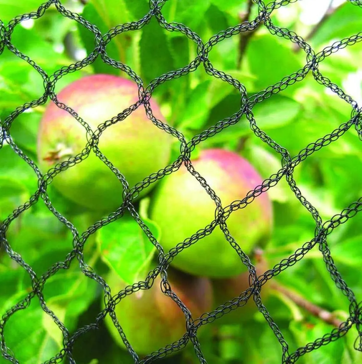 Anti Bird netting - Image 4
