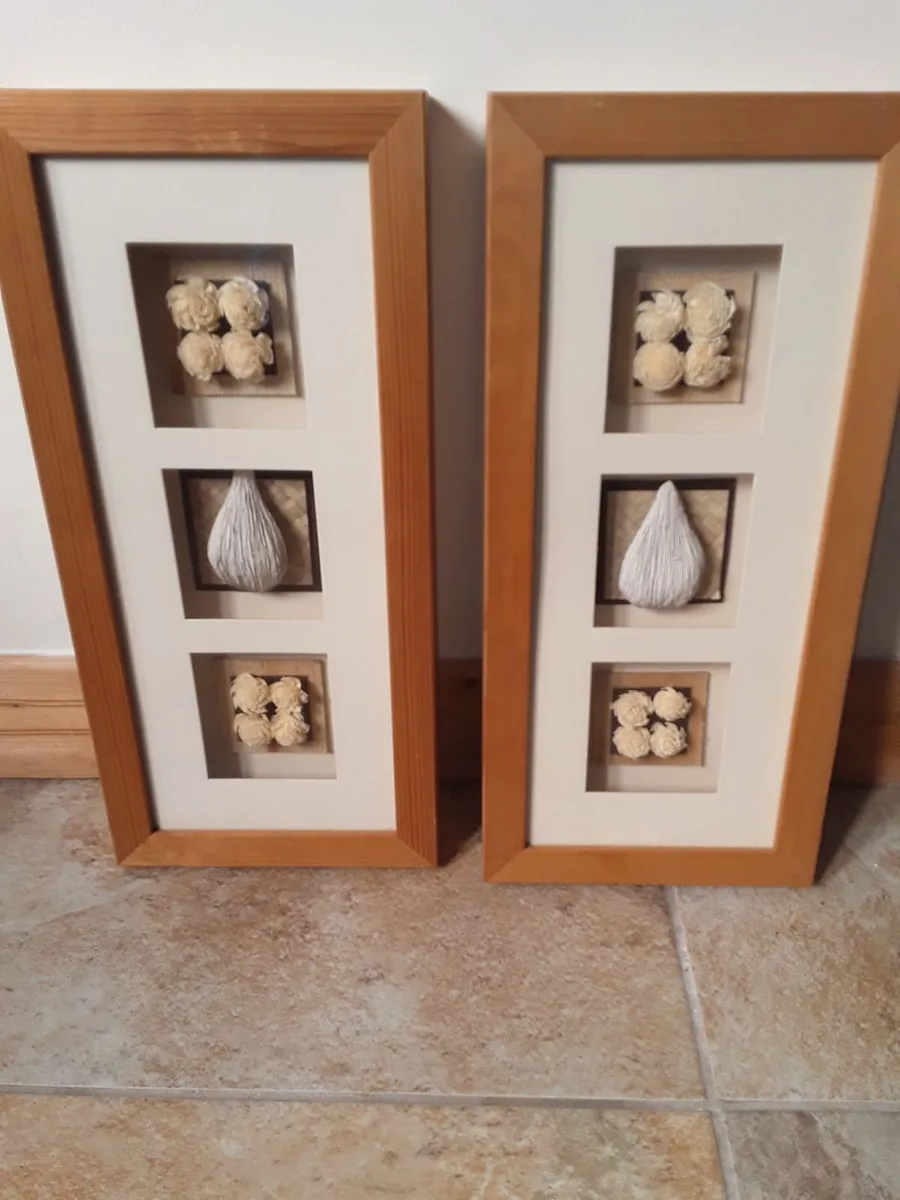 Lovely dried plants in glass frames - Image 1