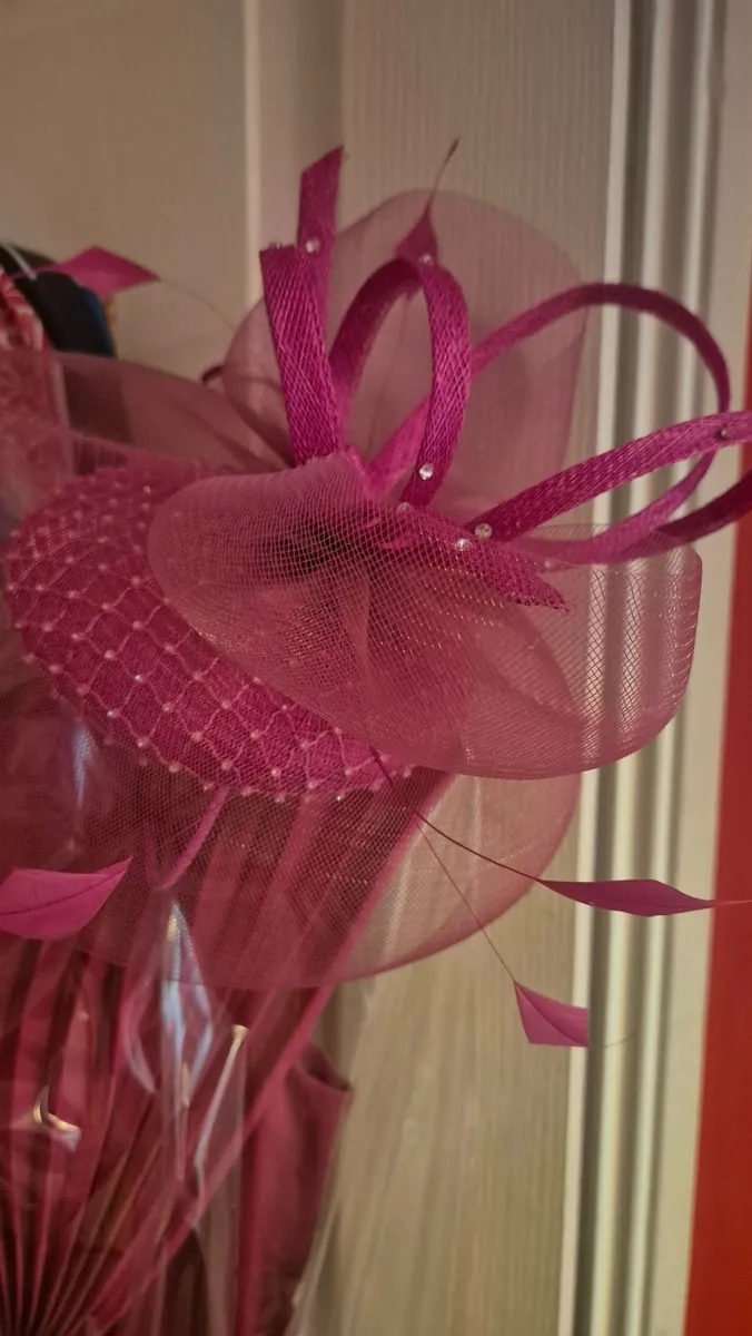Mother of the Groom/Bride dress and fascinator - Image 3