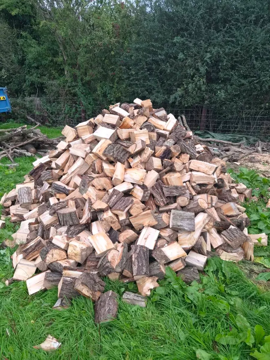Firewood - Image 1