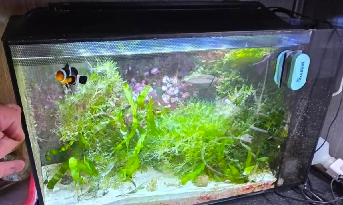 Marine tanks and equipment - Image 3