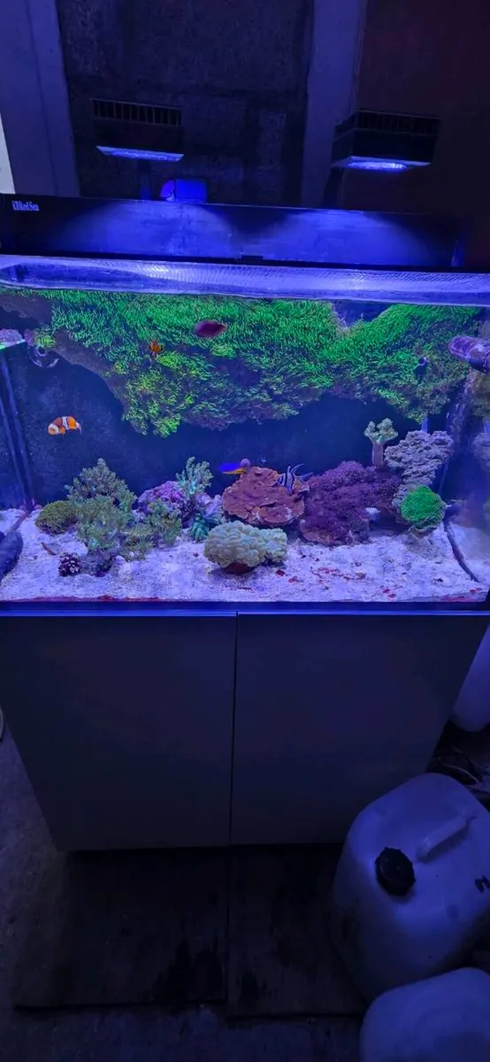 Marine tanks and equipment - Image 4