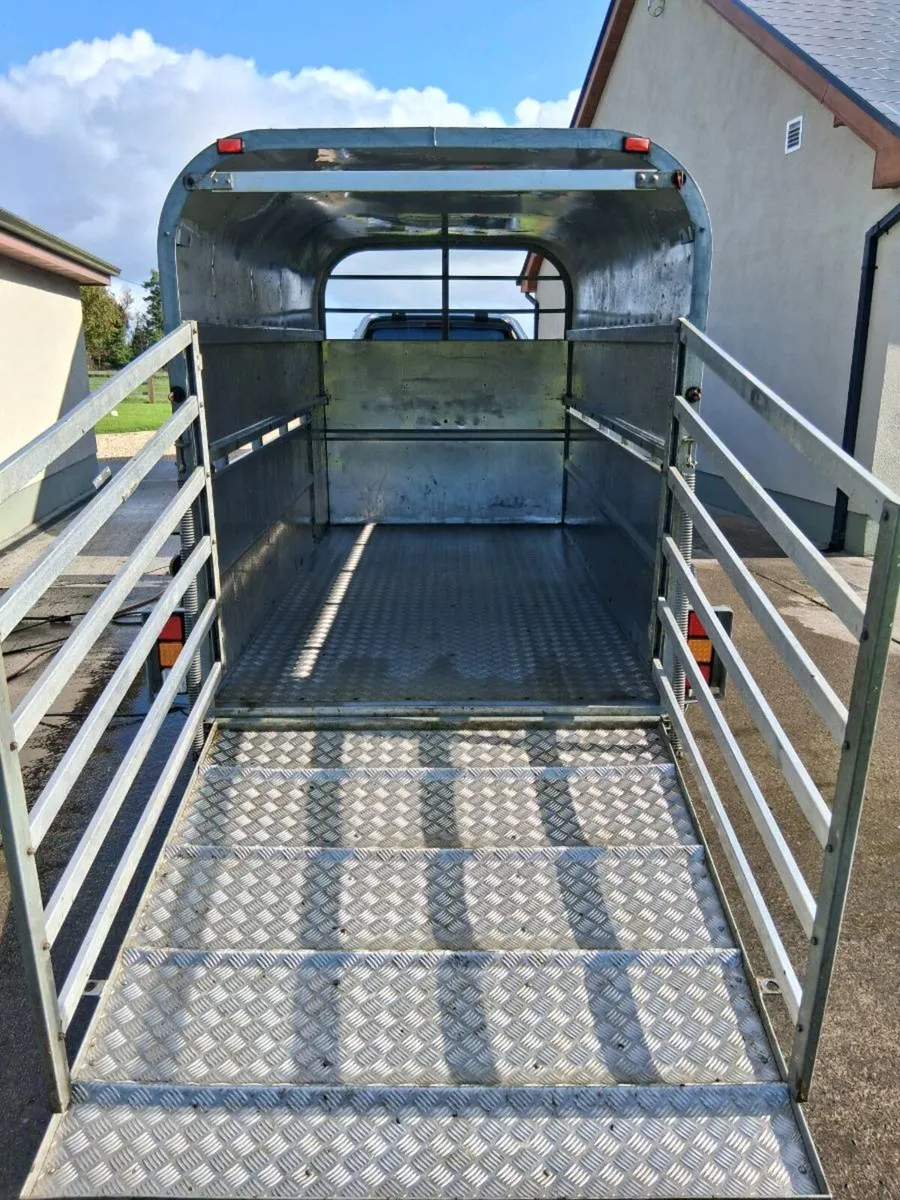 10x5 trailer - Image 4