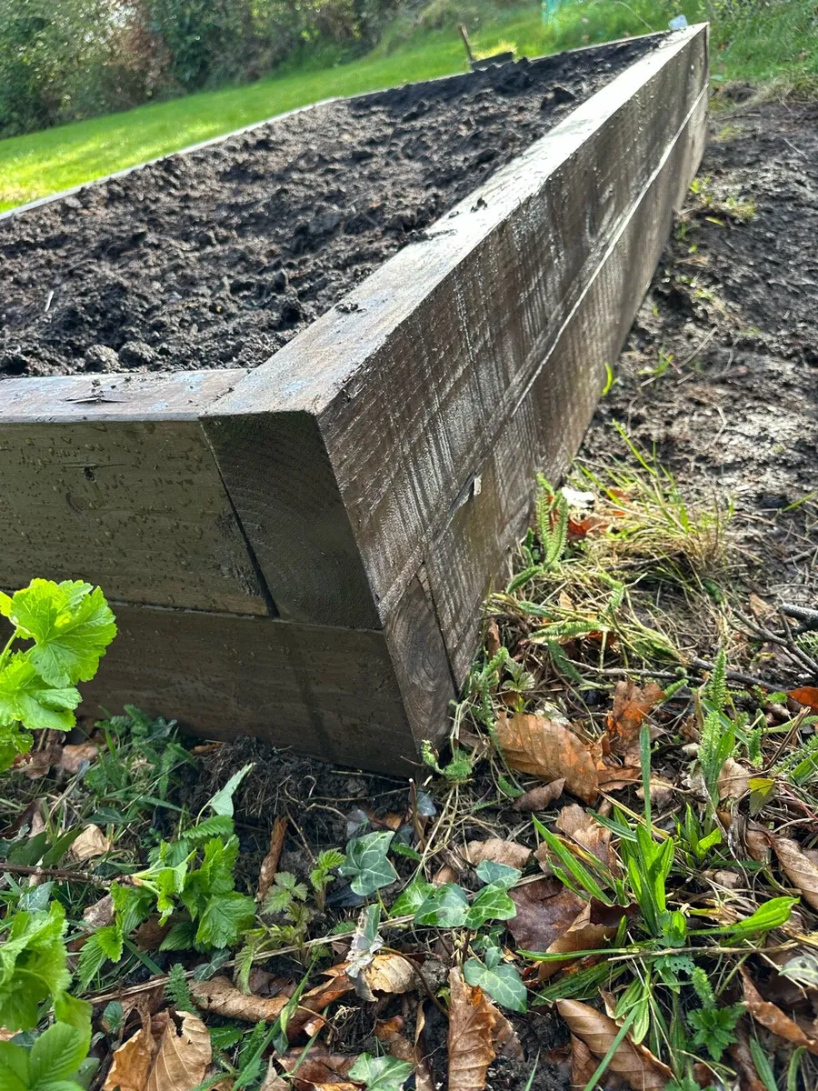 Raised Garden Beds - Image 4