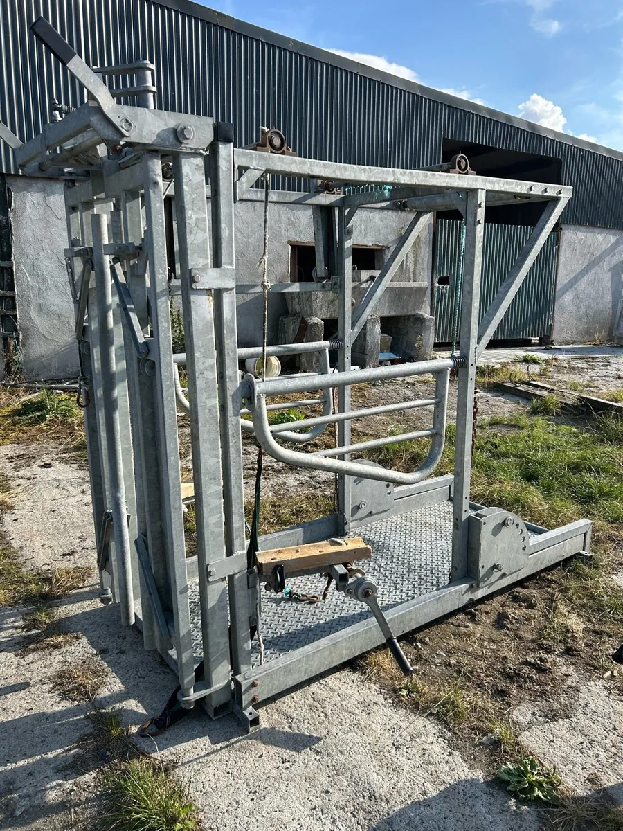 Hoof crate - Image 1