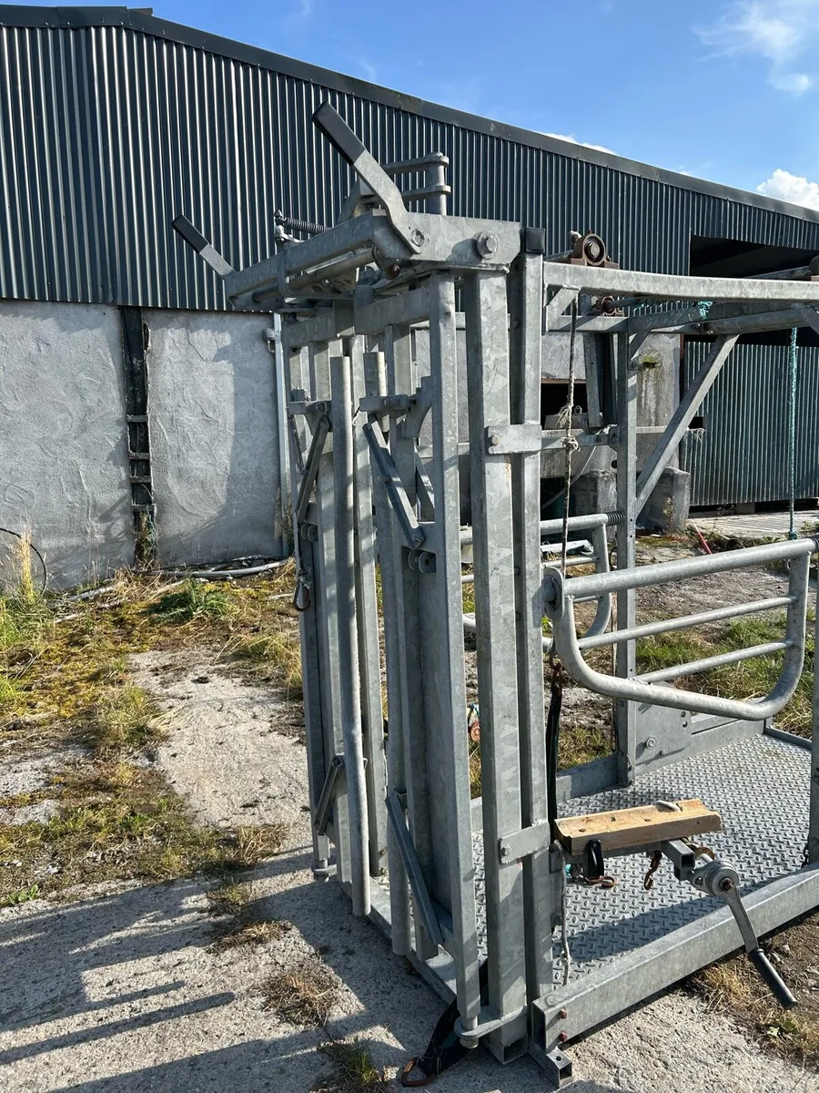 Hoof crate - Image 2