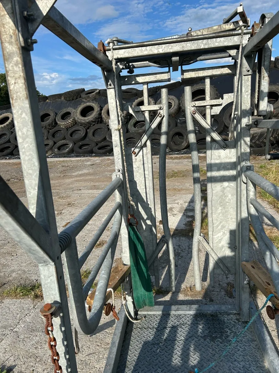 Hoof crate - Image 3