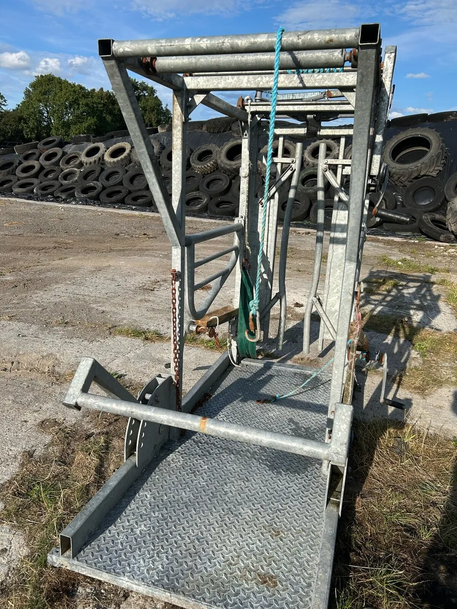 Hoof crate - Image 4