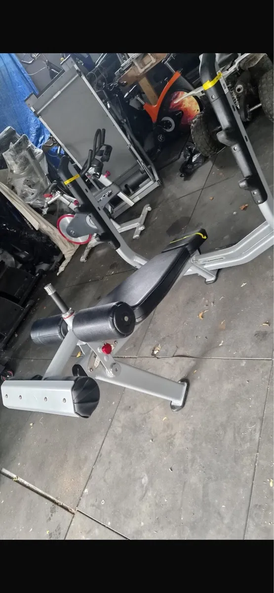 Nautilus decline bench - Image 4