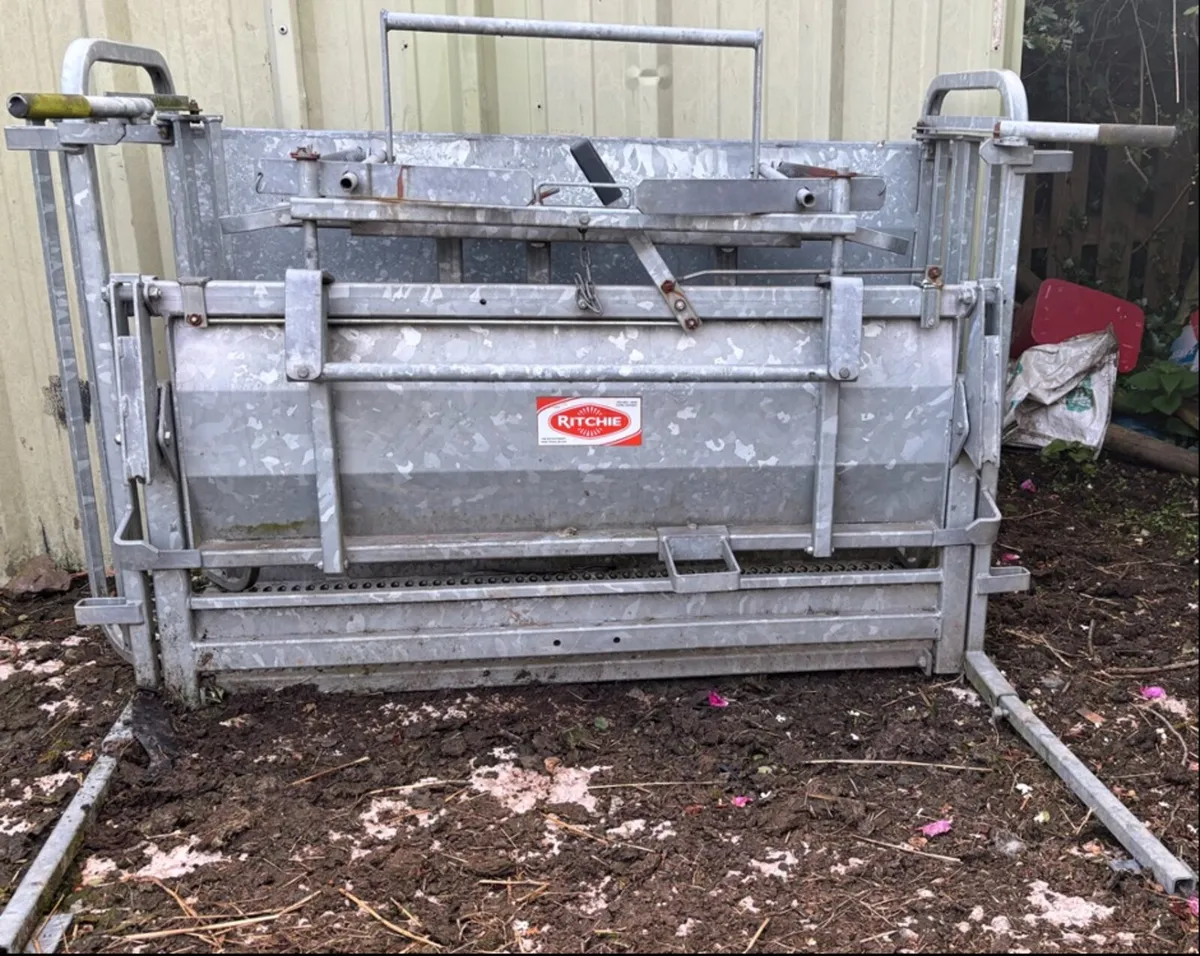 Ritchie Sheep turnover crate