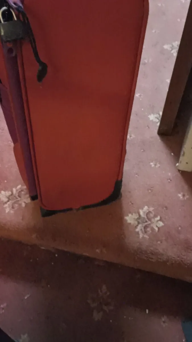 Suitcases (2) - Image 2