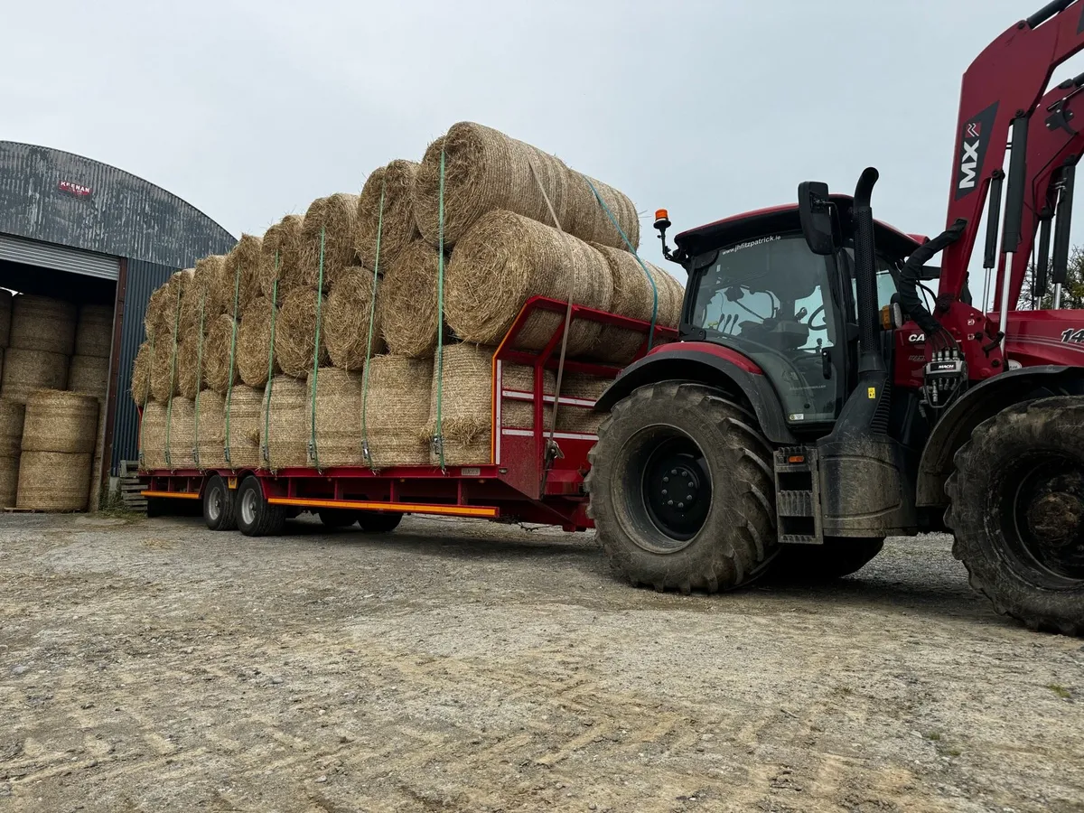 Wheaten Straw. - Image 1