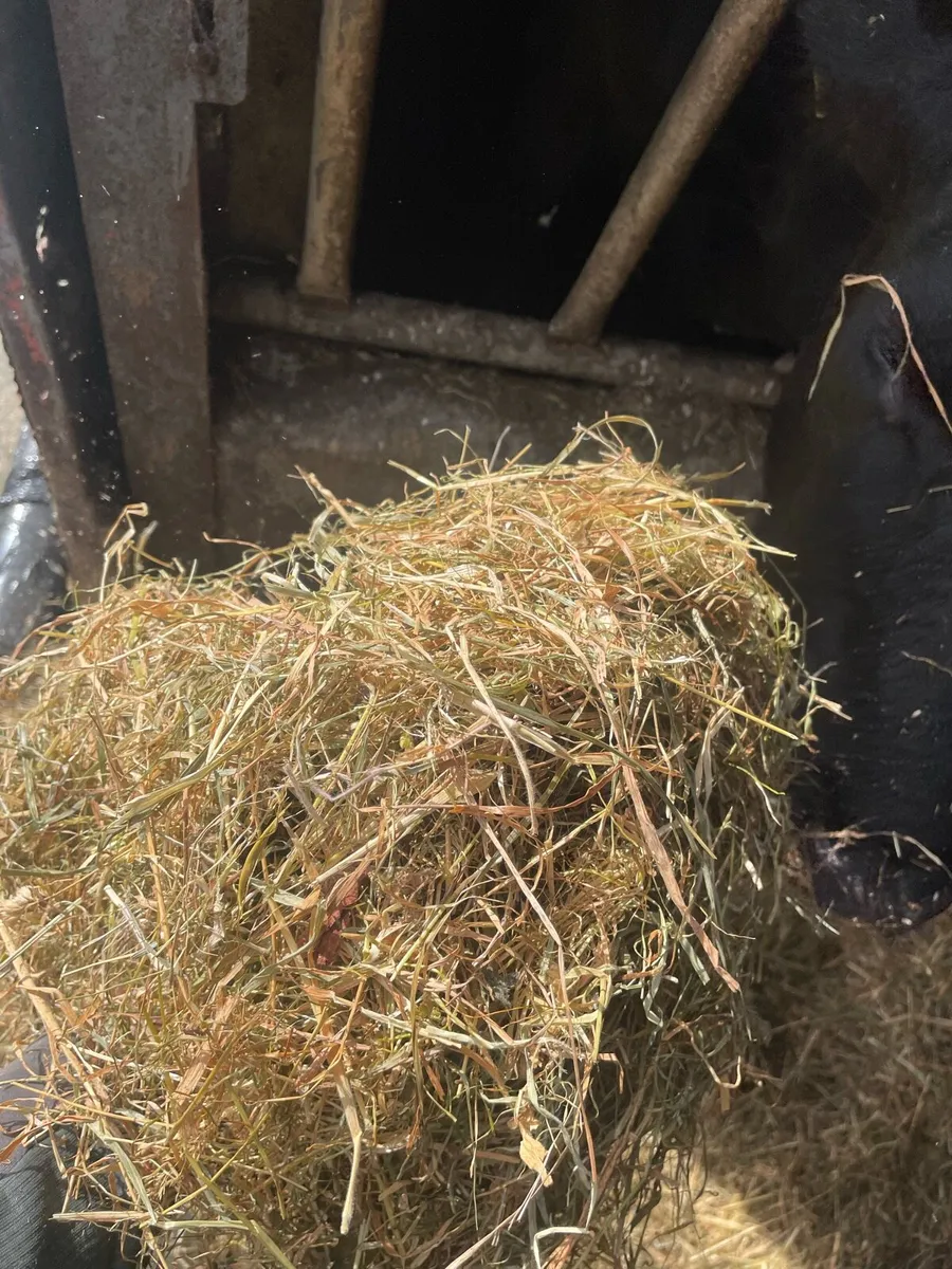 Silage/haylage - Image 1